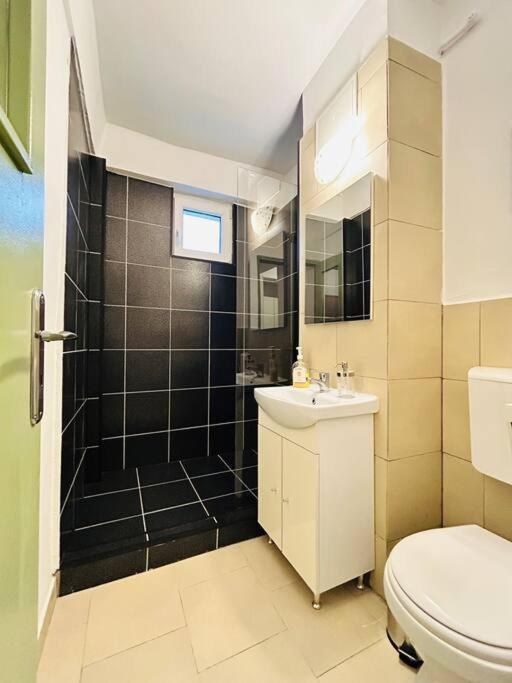 Cosy Apartment #12Lunipebega Timisoara Ngoại thất bức ảnh