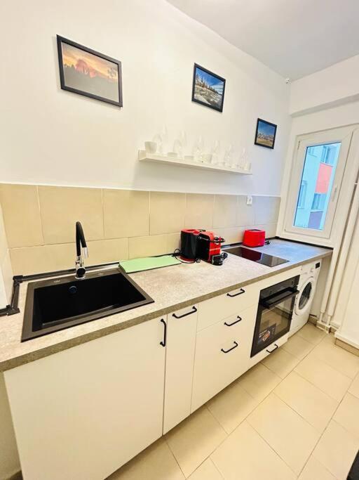 Cosy Apartment #12Lunipebega Timisoara Ngoại thất bức ảnh