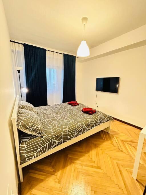 Cosy Apartment #12Lunipebega Timisoara Ngoại thất bức ảnh